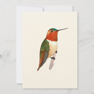 Rufous Hummingbird Flat Greeting Card