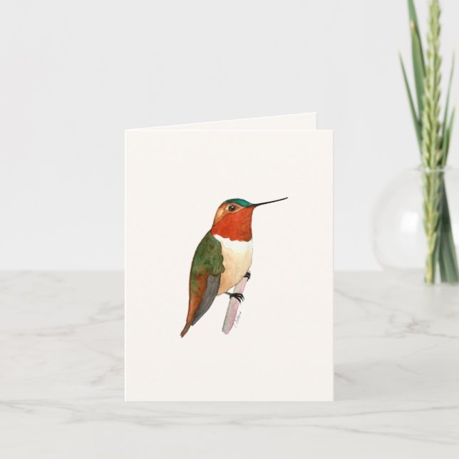 Rufous Hummingbird Greeting Card (Front)