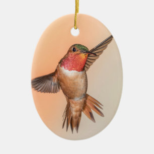 Rufous Hummingbird in Flight Monogram Name Ceramic Tree Decoration