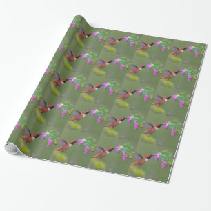 Rufous Hummingbird on Wild Rose Wrapping Paper