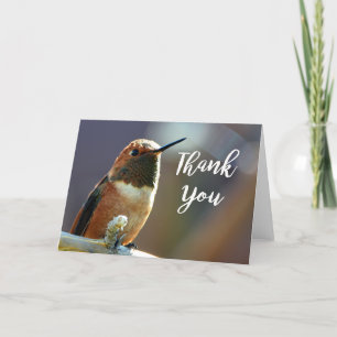 Rufous Hummingbird Photo Thank You Card