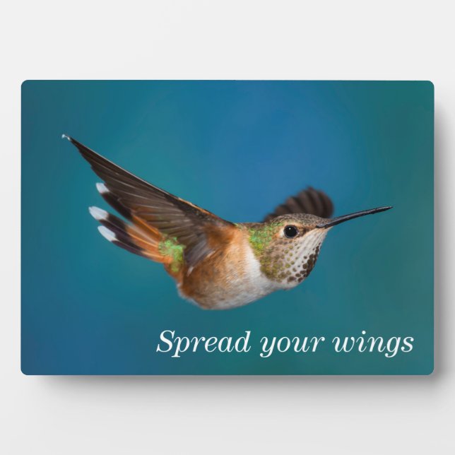 Rufous Hummingbird Plaque (Front)