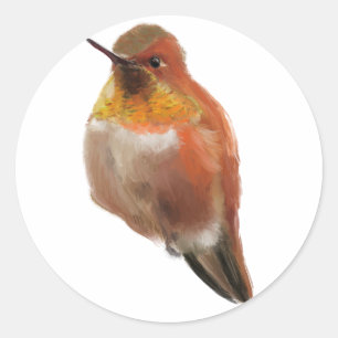 Rufous Hummingbird (Selasphorus rufus) Classic Round Sticker