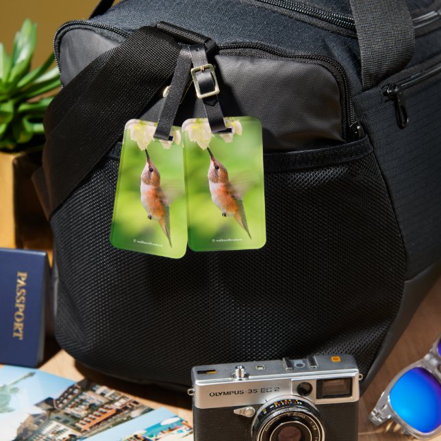Rufous Hummingbird Sips Blueberry Blossom Nectar Luggage Tag (Front & Back)
