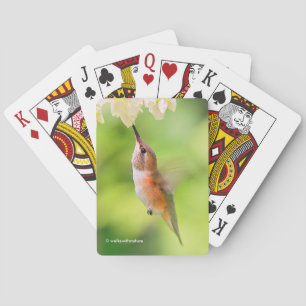 Rufous Hummingbird Sips Blueberry Blossom Nectar Playing Cards