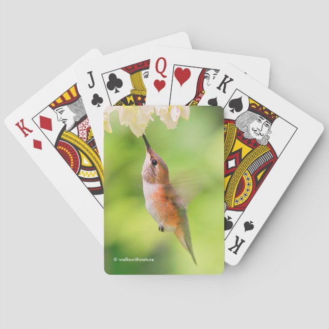 Rufous Hummingbird Sips Blueberry Blossom Nectar Playing Cards (Back)