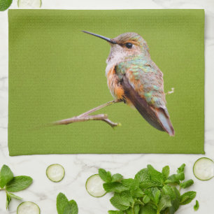 Rufous Hummingbird Sitting in the California Lilac Tea Towel