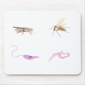 Rug parasitology/Parasitology mat Mouse Mat