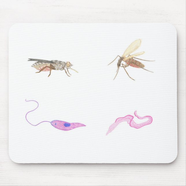 Rug parasitology/Parasitology mat Mouse Mat (Front)