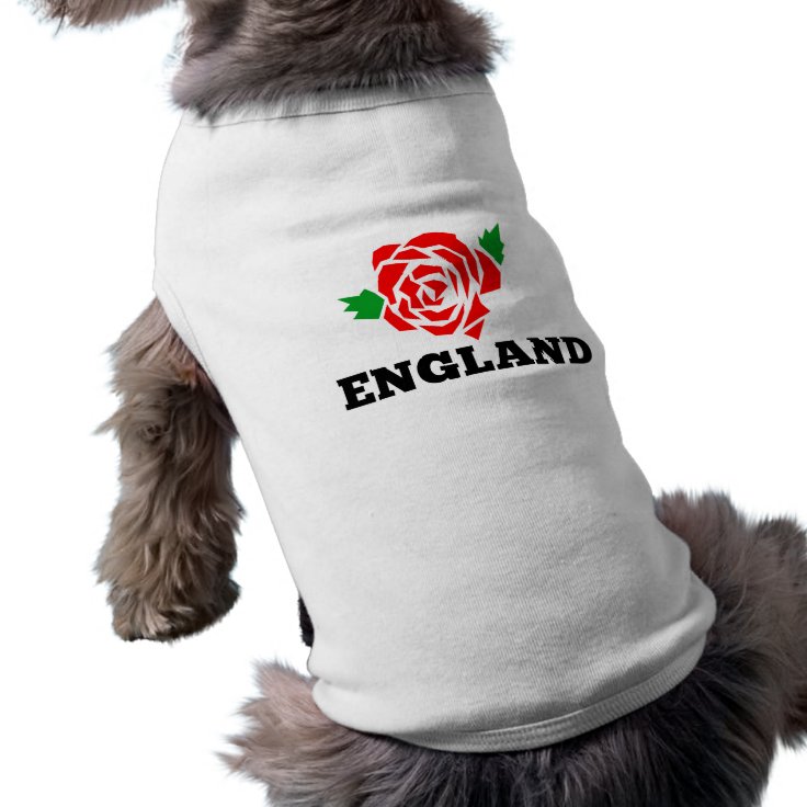 england rugby dog shirt