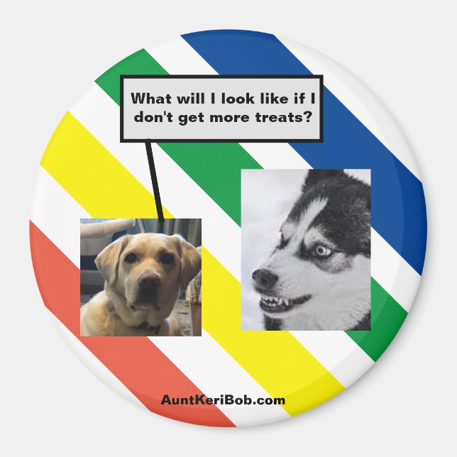 Ruger in the future magnet (Front)