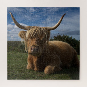 Rugged Highland Cow Jigsaw Puzzle