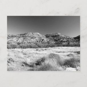 Rugged Land Postcard