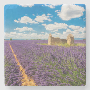 Ruin in Lavender Field, France Stone Coaster