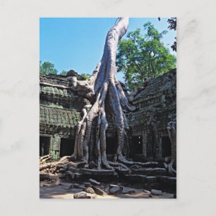 Ruin of Ta Prohm - Angkor Wat, Cambodia, Asia Postcard