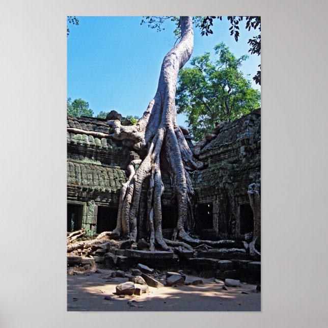 Ruin of Ta Prohm - Angkor Wat, Cambodia, Asia Poster (Front)