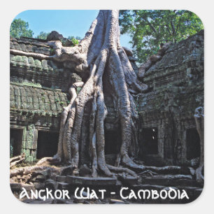 Ruin of Ta Prohm - Angkor Wat, Cambodia, Asia Square Sticker