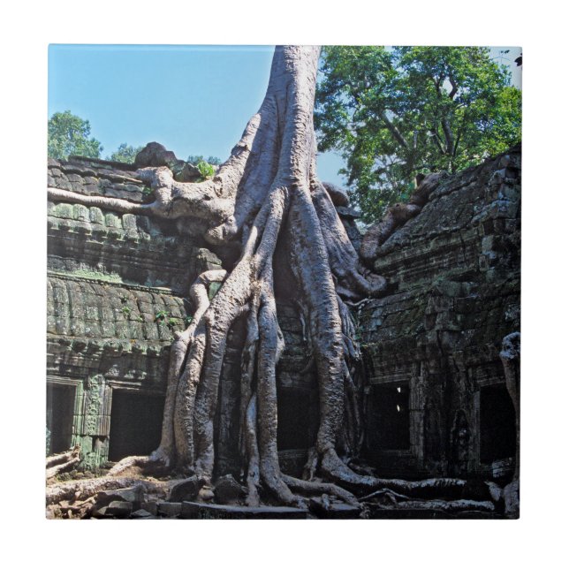 Ruin of Ta Prohm - Angkor Wat, Cambodia, Asia Tile (Front)