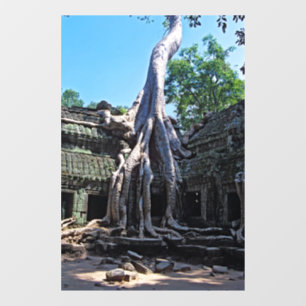 Ruin of Ta Prohm - Angkor Wat, Cambodia, Asia Window Cling