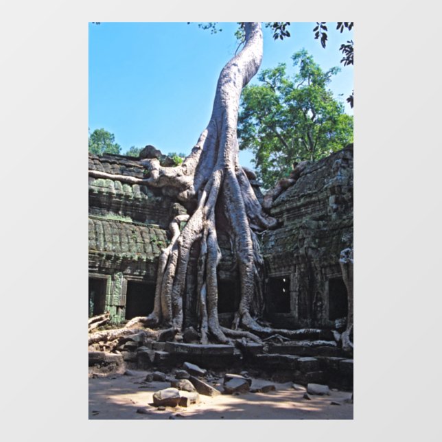 Ruin of Ta Prohm - Angkor Wat, Cambodia, Asia Window Cling (Sheet)