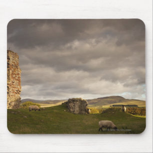 Ruins Of Cessford Castle With Sheep Grazing Mouse Mat