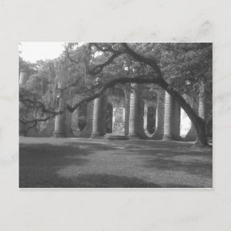 Ruins of Old Sheldon Church in Yemassee, SC Postcard