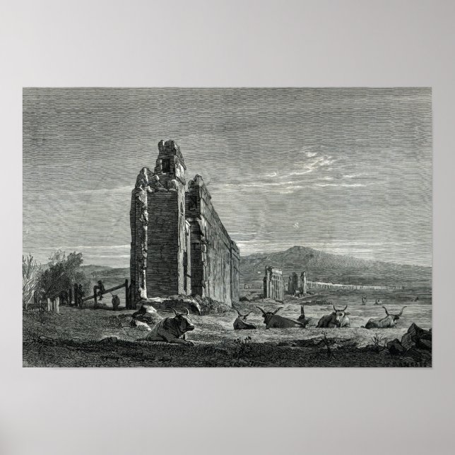 Ruins of the Aqueduct of Appius Claudius, Rome Poster (Front)