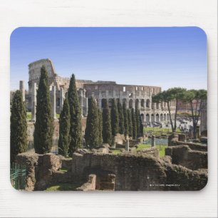 Ruins of the Roman Colosseum from Il Palatino, Mouse Mat