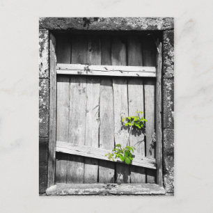 Ruins Postcard