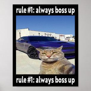 Rule # 1 Always Boss Up Funny Cat Meme  Poster
