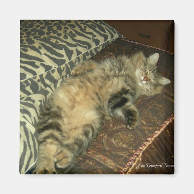 Rum Tum tummy Magnet (Front)