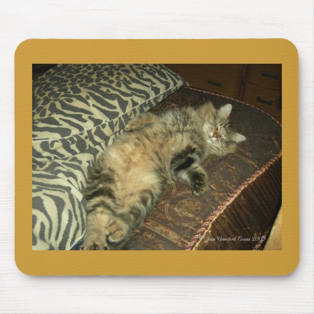 Rum Tum tummy Mouse Mat (Front)