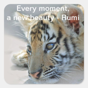 Rumi Beauty Square Sticker