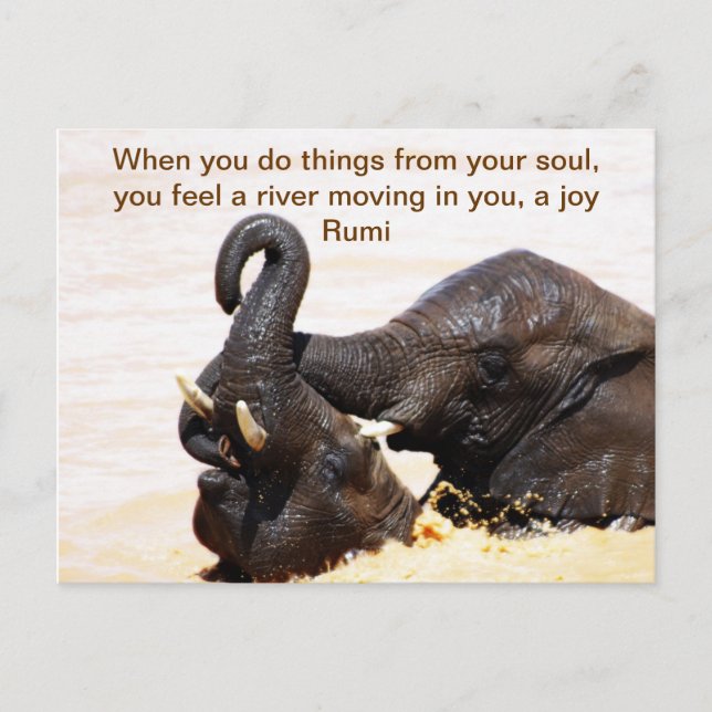 Rumi Soul joy Announcement Postcard (Front)