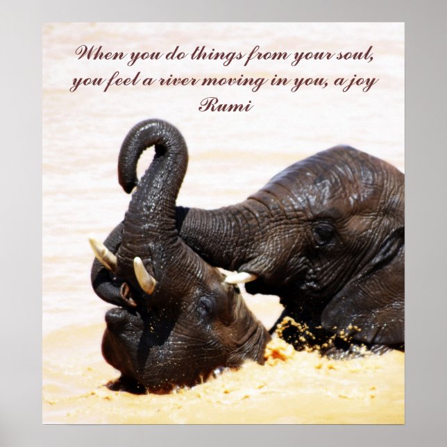 Rumi  Soul joy Poster (Front)