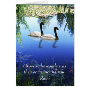 Rumi The wonders