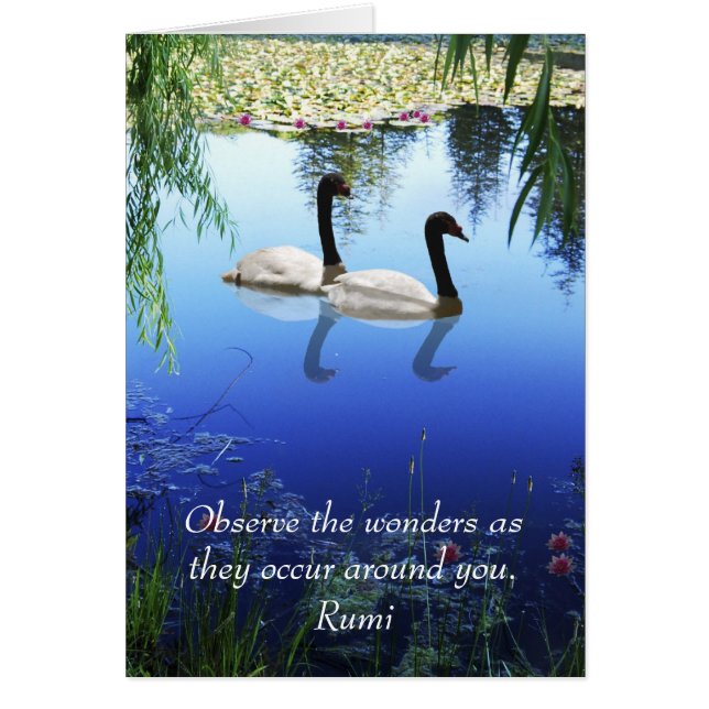 Rumi The wonders (Front)