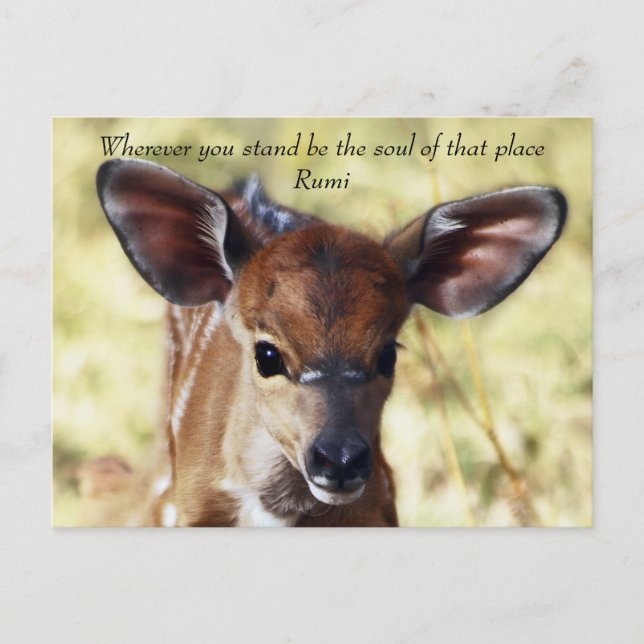 Rumi Wherever you stand Postcard (Front)