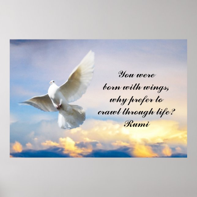 Rumi You were born with wings Poster (Front)