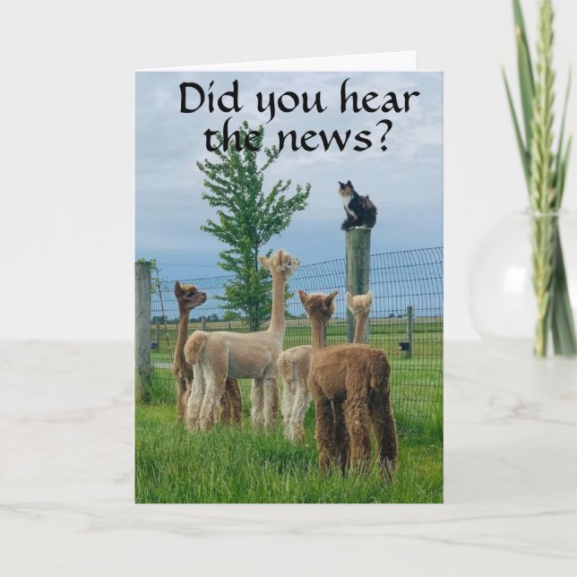 RUMOR IS THAT **40th BIRTHDAY** NOT SO BAD Card (Front)