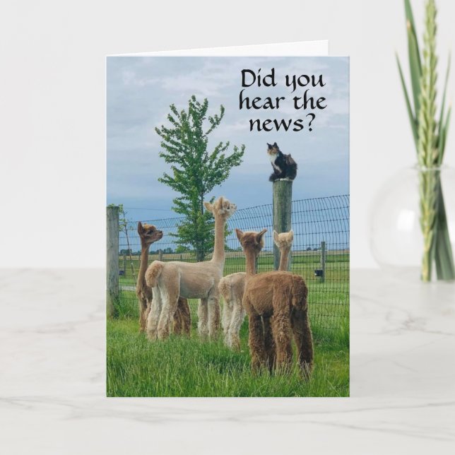 RUMOR IS THAT **55th BIRTHDAY** NOT SO BAD Card (Front)