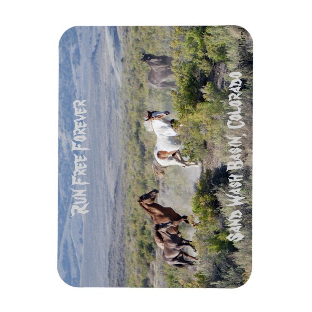 Run Free Forever Magnet (Vertical)
