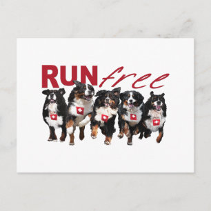 Run Free Postcard