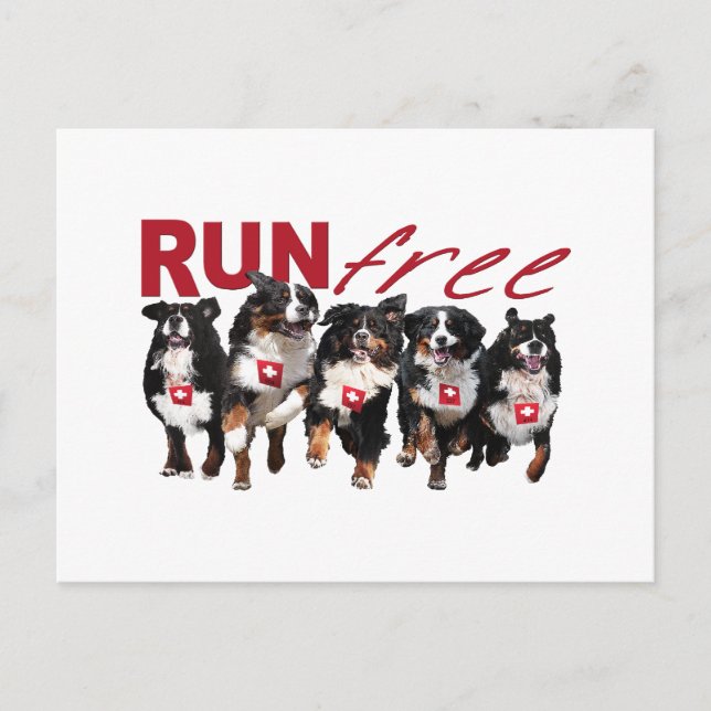 Run Free Postcard (Front)
