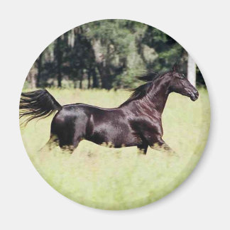 run like the wind magnet