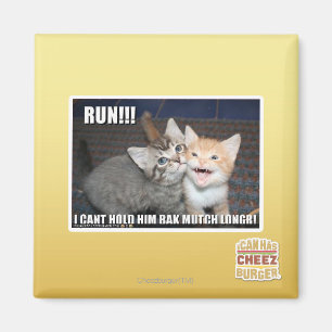 RUN!!! MAGNET