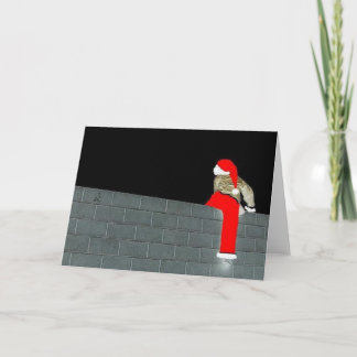 run santa run! holiday card