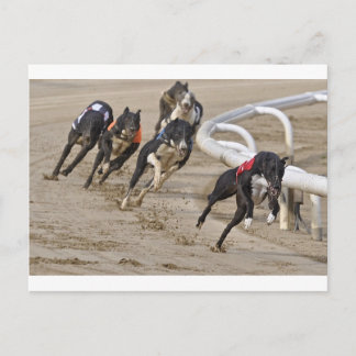 Run to the line postcard