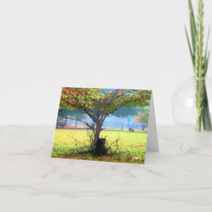 Runamuk Ranch Art Note cards (blank inside)