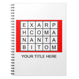 Rune Spiral Notebook